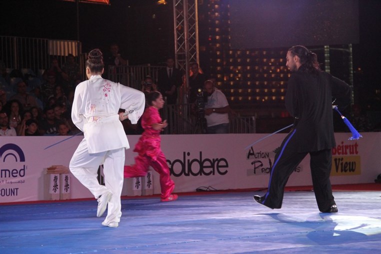 Martial Arts Festival